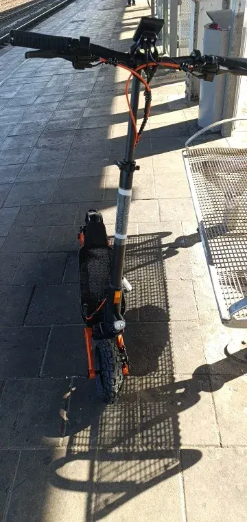 Ideal täglich