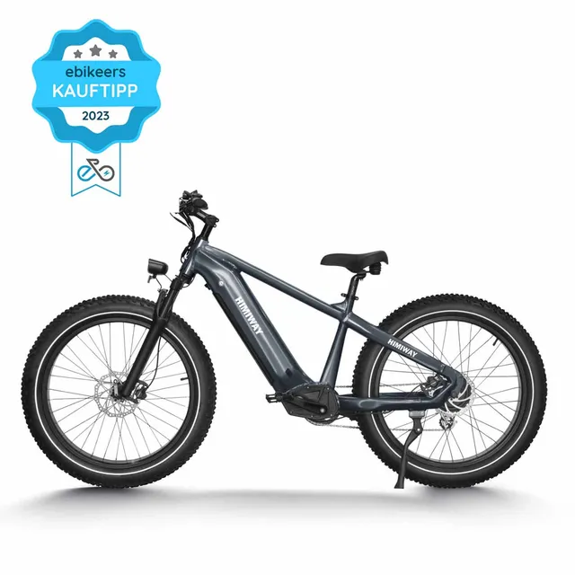 sxt-velox-d5-zebra-e-bike-step-over-grau-all-terrain image 1