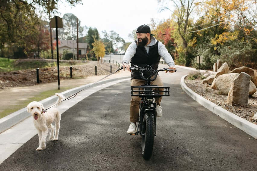 sxt-velox-big-dog-e-bike-lastenrad-750w-128-km image 6