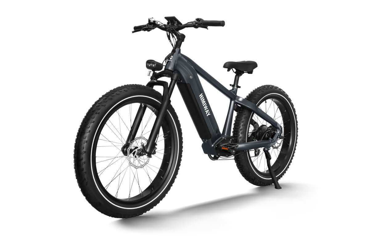 sxt-velox-d5-zebra-e-bike-step-over-grau-all-terrain image 5