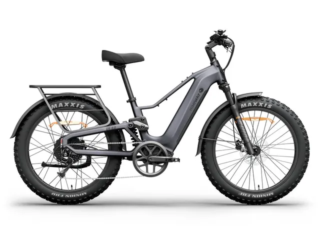 sxt-velox-d5-zebra-2-0-e-bike-step-over-grau image 1
