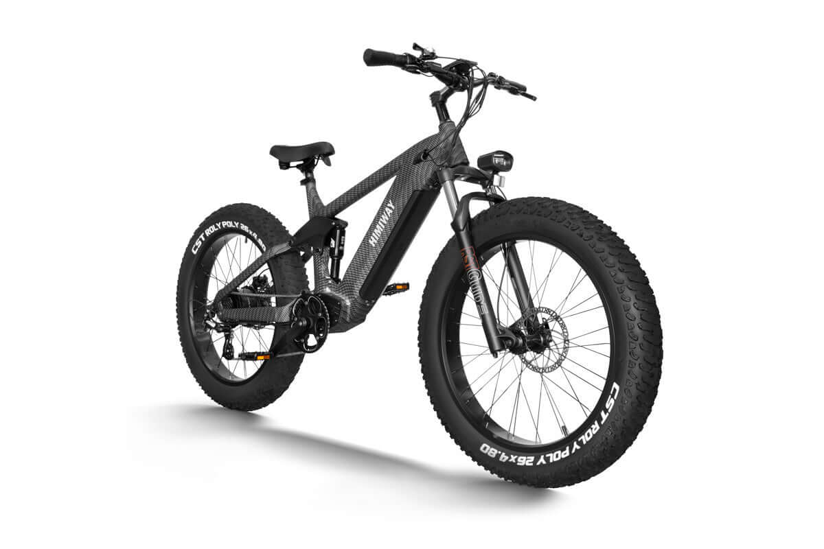sxt-velox-d7-cobra-fully-e-mountainbike-king-cobra image 3